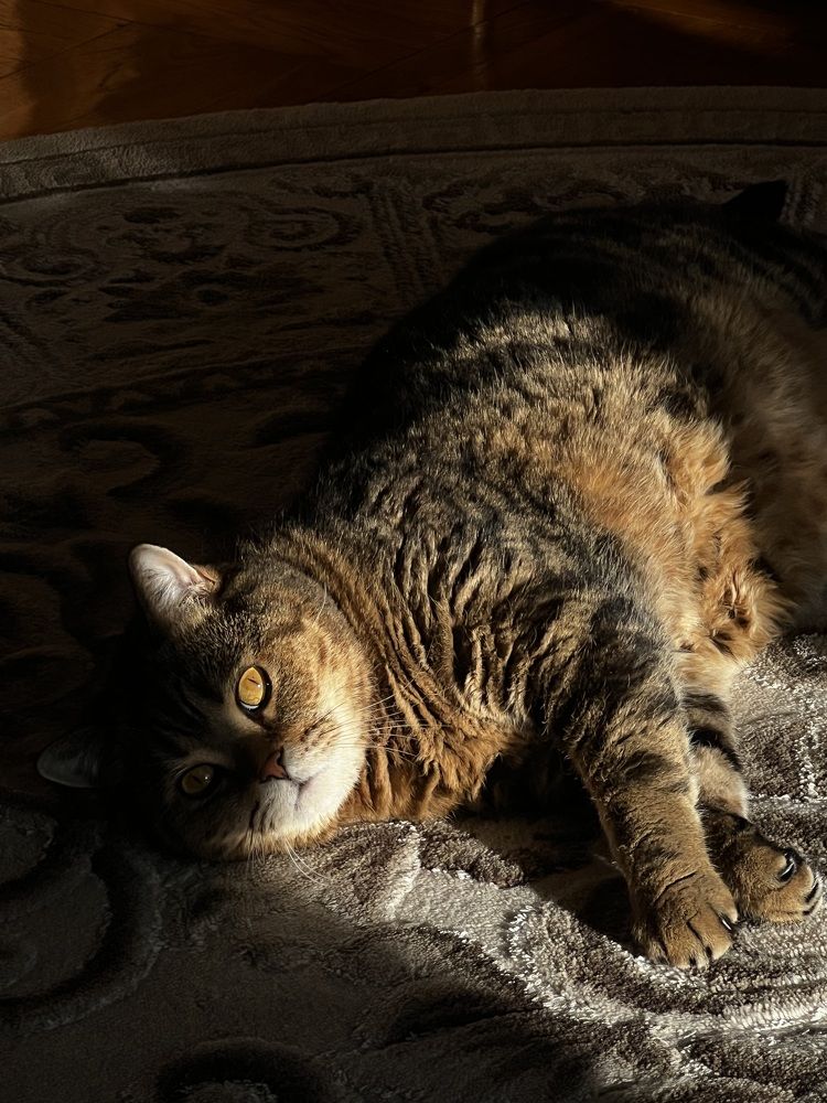 Photograph by Елена Зенкевич