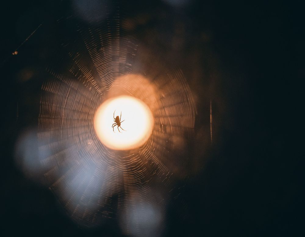 Photograph by Щербак Анатолий