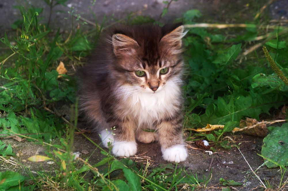 Photograph by Yroslava Veretina