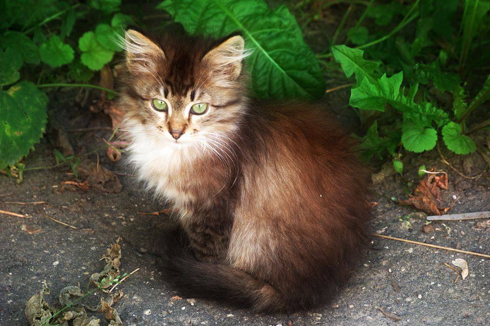 Photograph by Yroslava Veretina