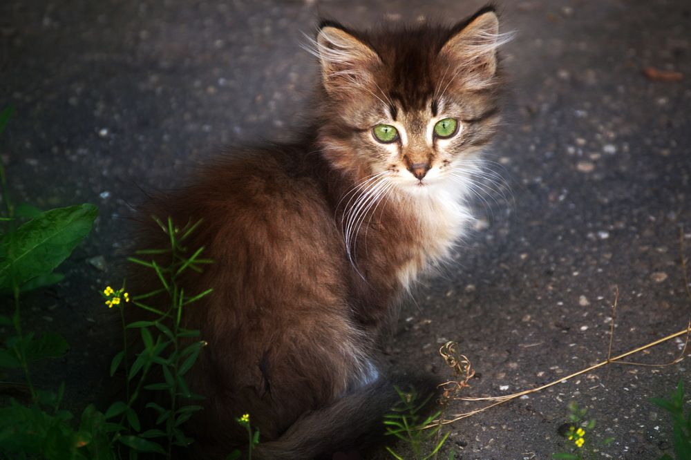 Photograph by Yroslava Veretina