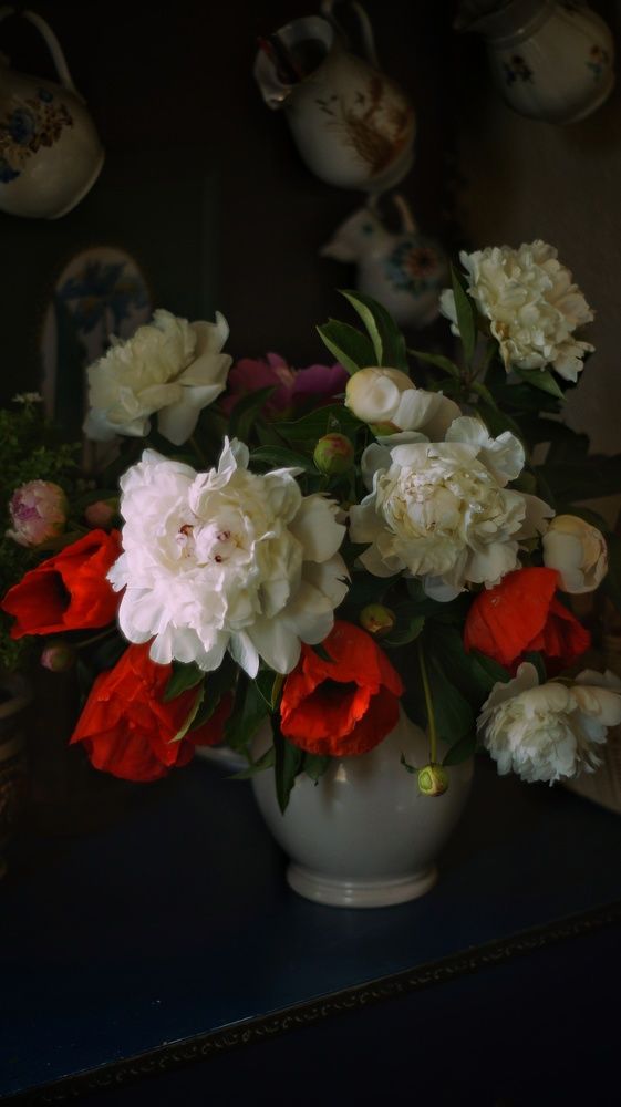 Photograph by Ирина