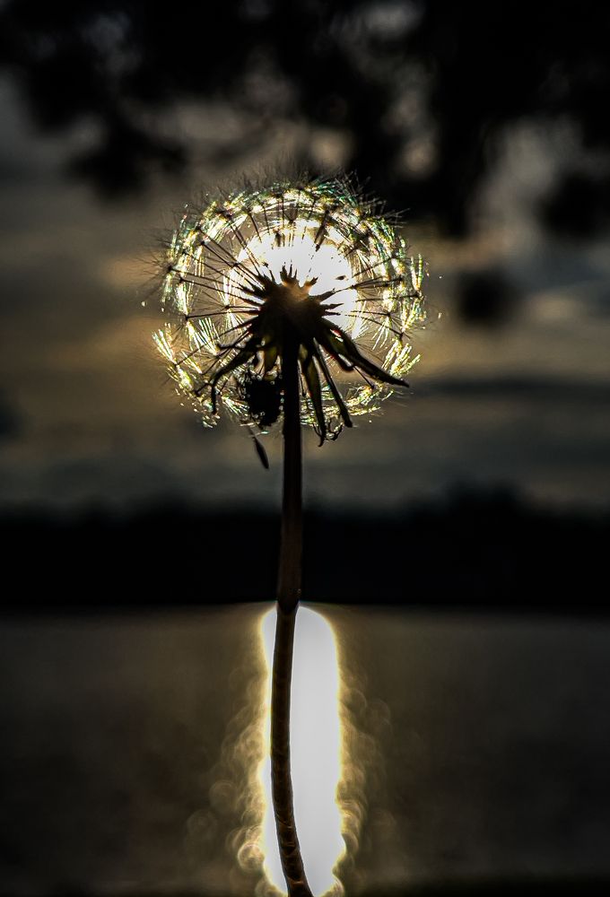 Photograph by NGUYEN HOANG GIANG