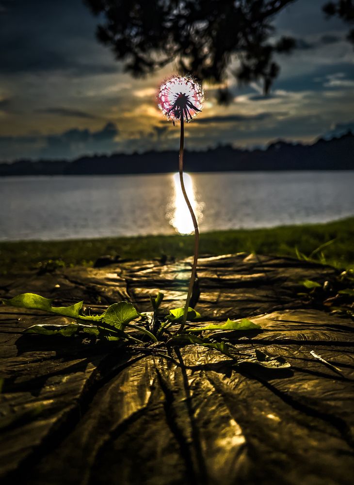 Photograph by NGUYEN HOANG GIANG
