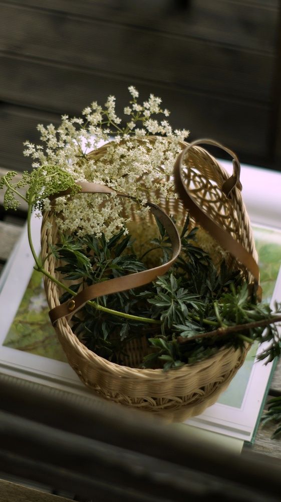 Photograph by Ирина
