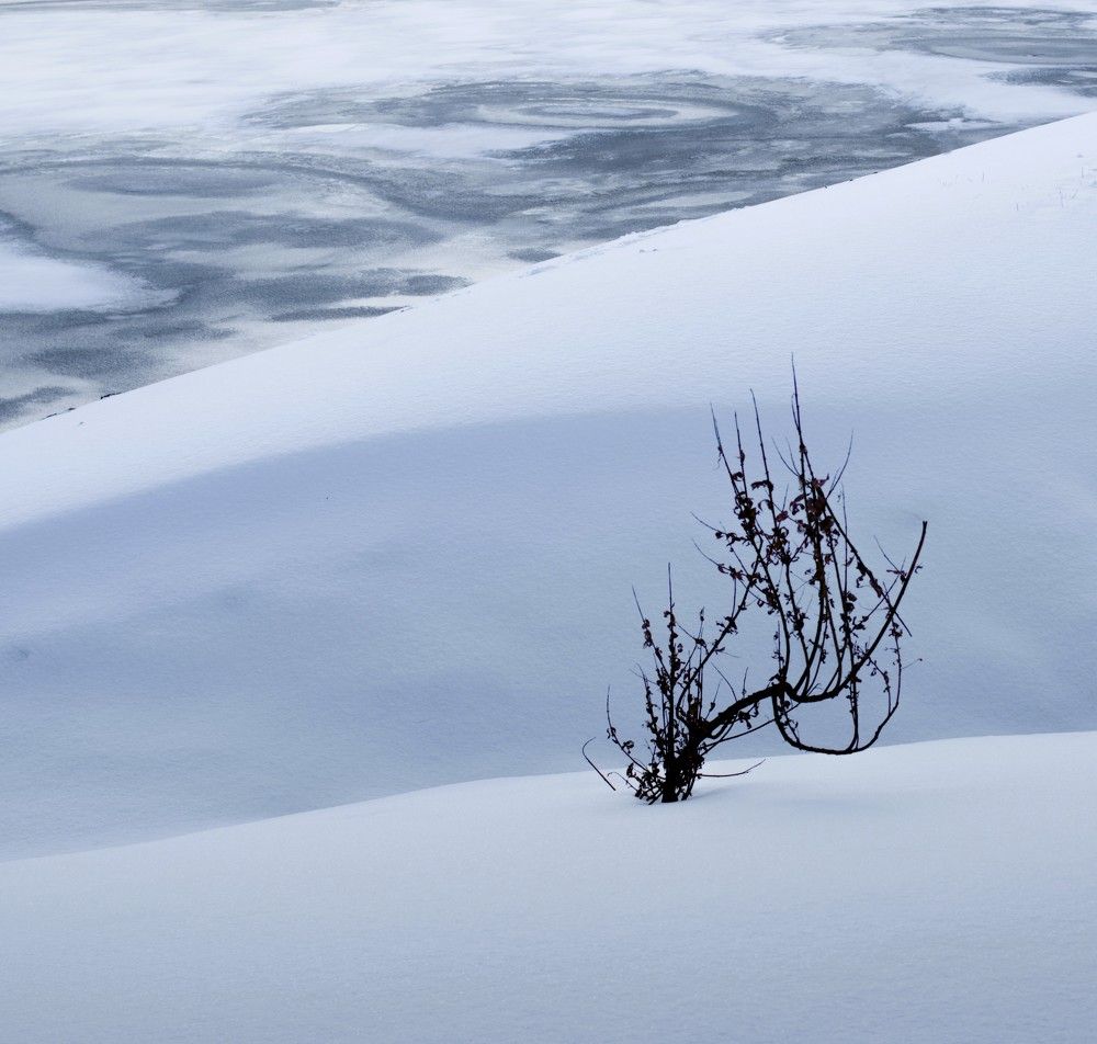 Фотография автора Юрий Баклыков
