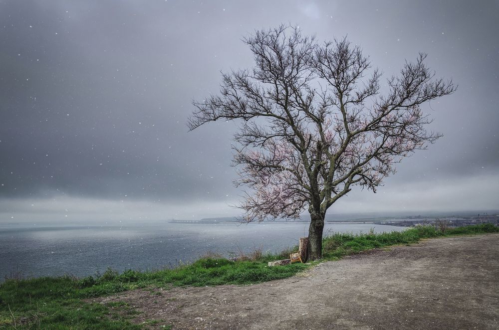 Photograph by Щербак Анатолий