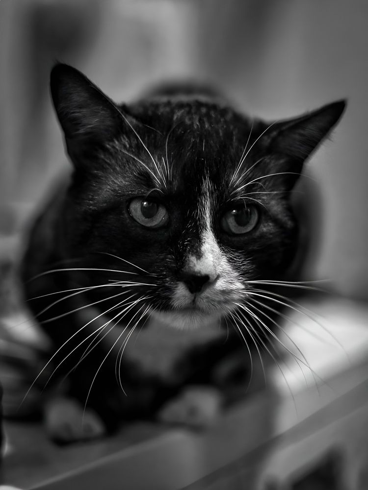 Photograph by Александра Кропивка