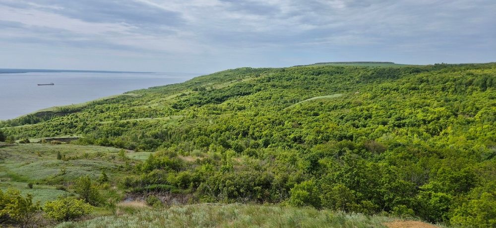 Фотография автора Ольга Мусина