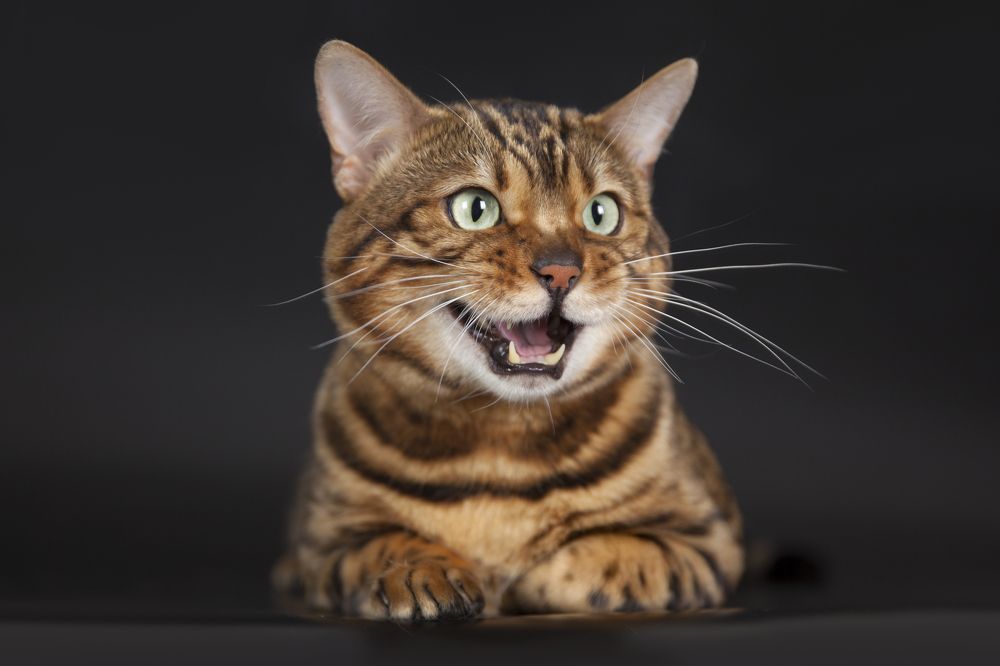 Photograph by Наталья Старостенко