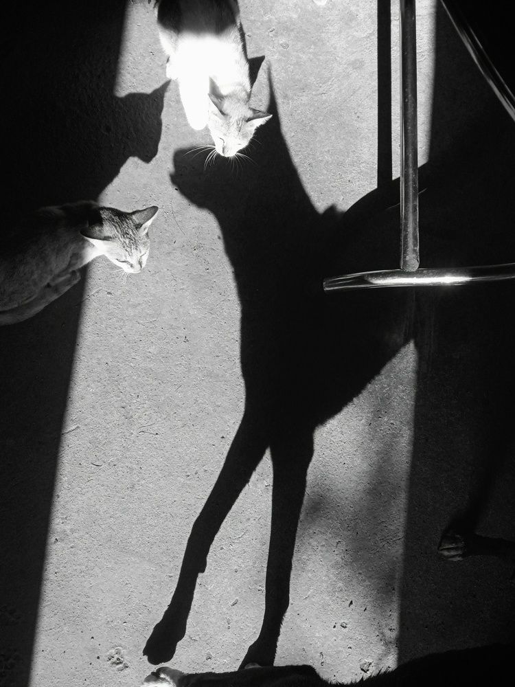 Photograph by Pheap Sophinh