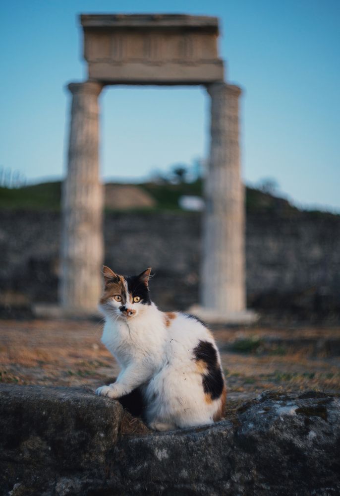 Photograph by Щербак Анатолий