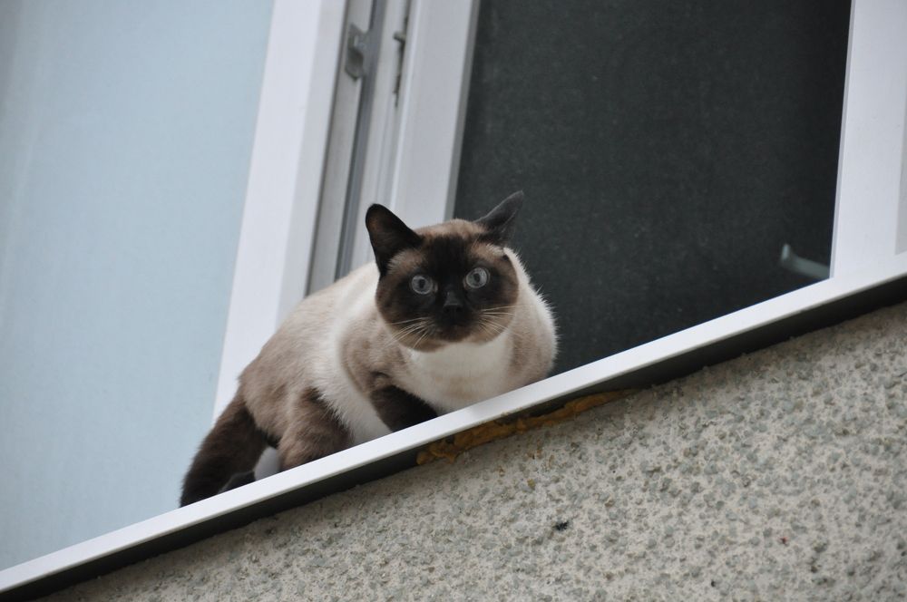 Photograph by Евгений Захаров