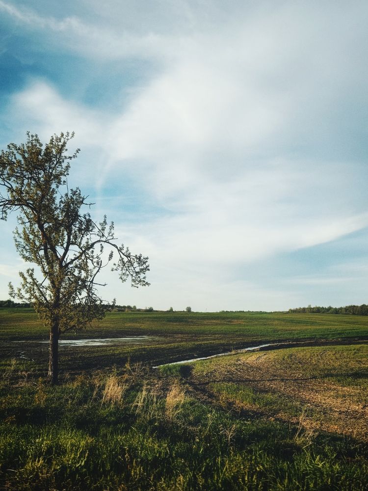 Фотография автора Елена Поживилко