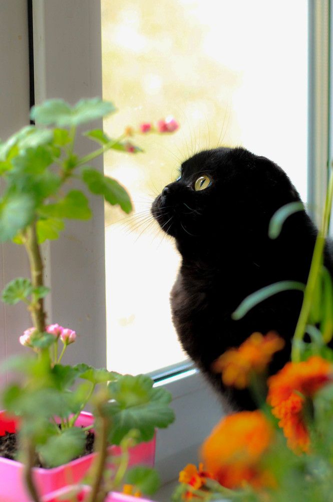 Photograph by Любовь Иванова