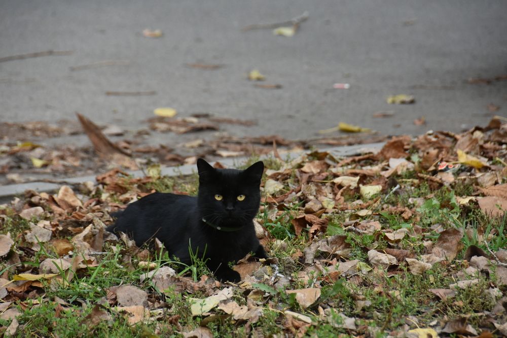 Photograph by Евгений Захаров