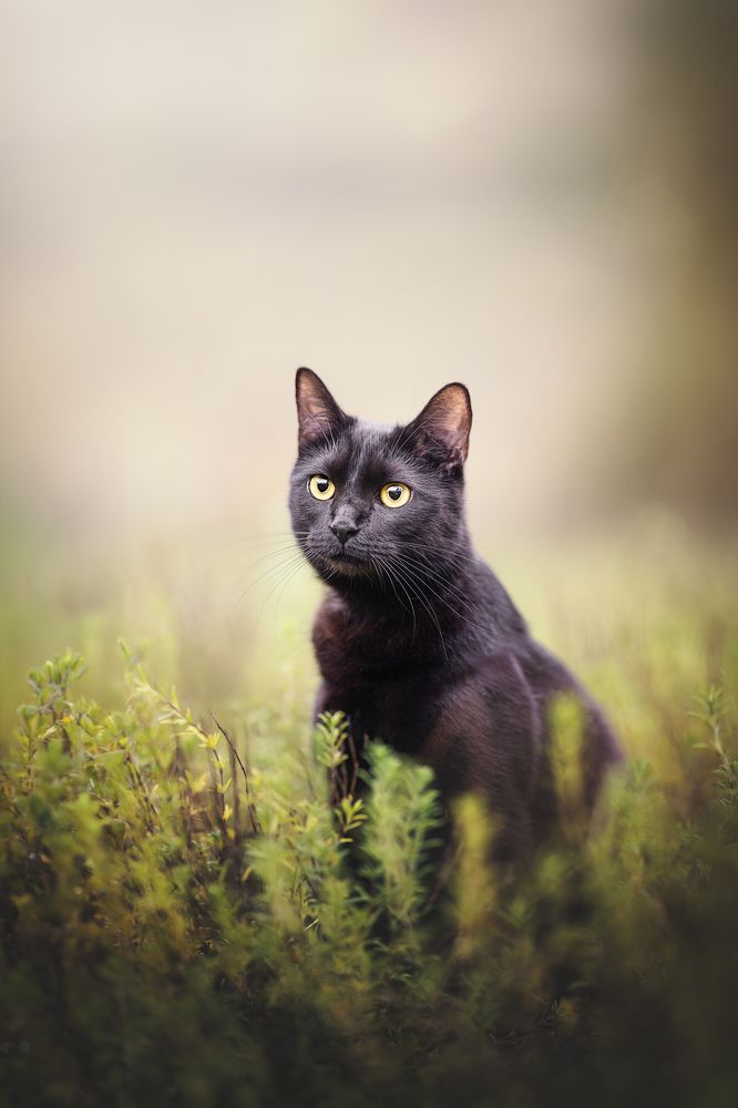 Photograph by Rut Casanellas