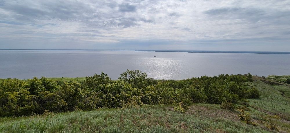 Фотография автора Ольга Мусина