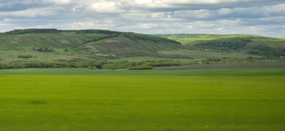 Фотография автора Ольга Мусина