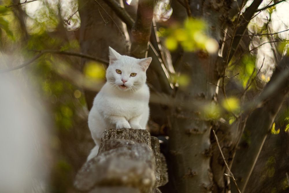 Photograph by Щербак Анатолий