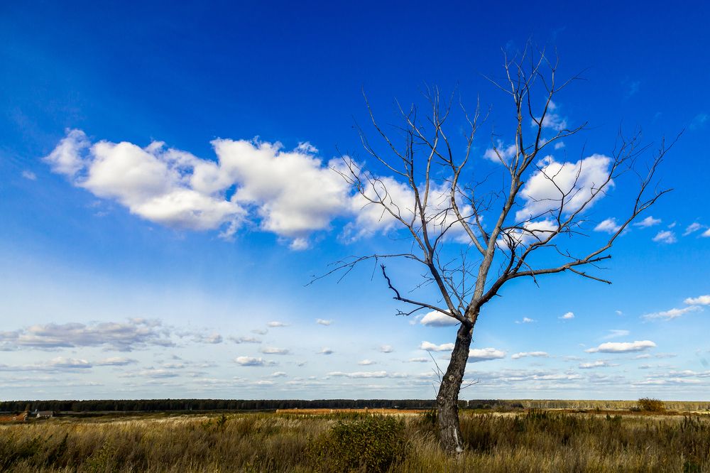 Photograph by Ольга Панова