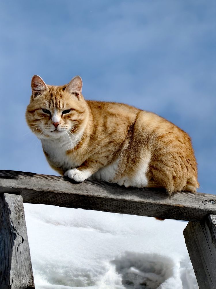 Photograph by Виолетта Беккер