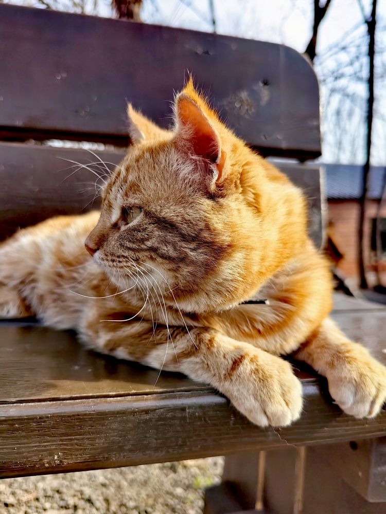 Photograph by Виолетта Беккер