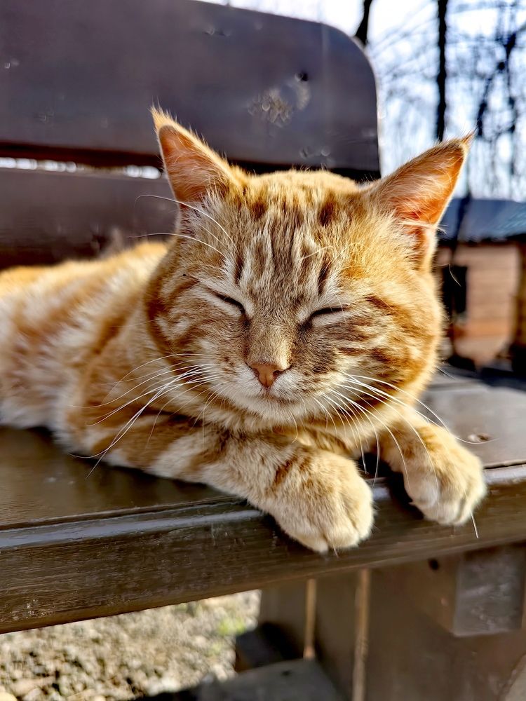 Photograph by Виолетта Беккер