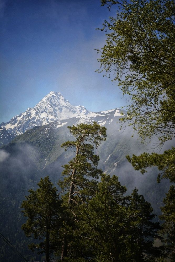 Photograph by Гладнева Ирина