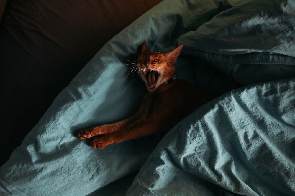 Photograph by Анна Артемова