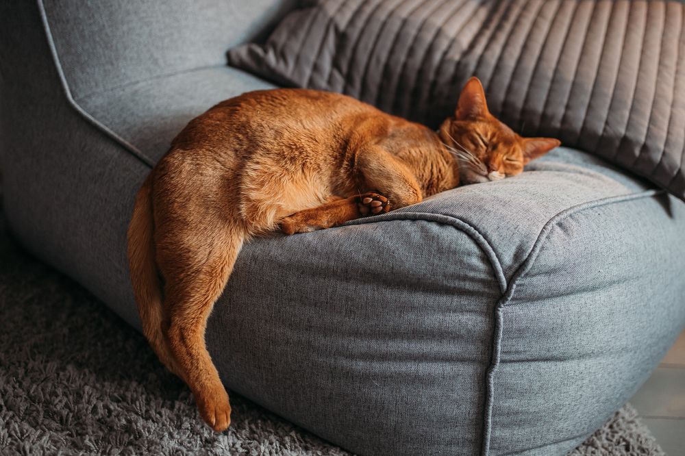 Photograph by Анна Артемова