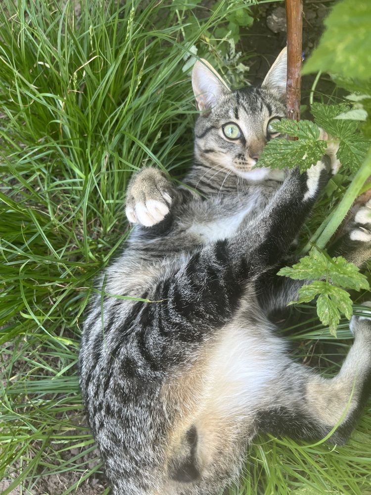 Photograph by Людмила Никитина