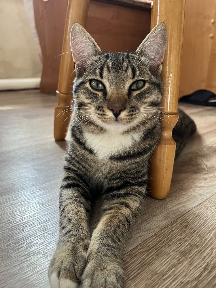 Photograph by Людмила Никитина