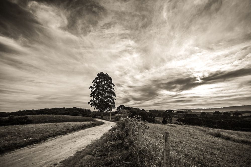 Photograph by Gilberto José Bassani