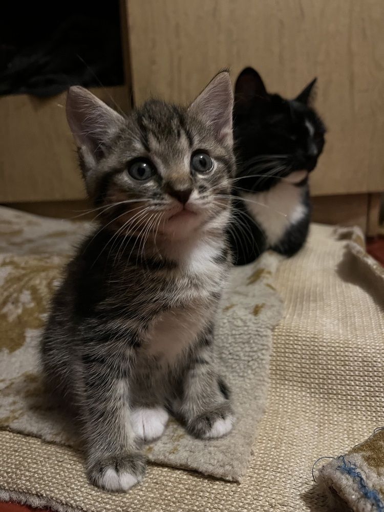 Photograph by Людмила Никитина