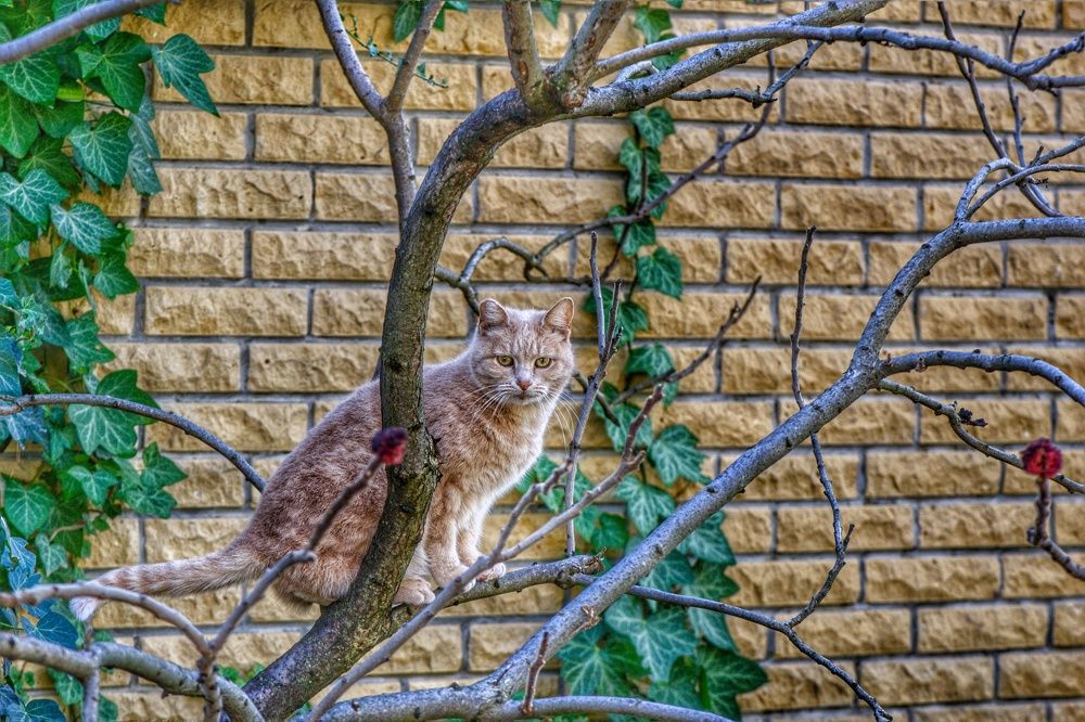 Photograph by Василиса Прекрасная