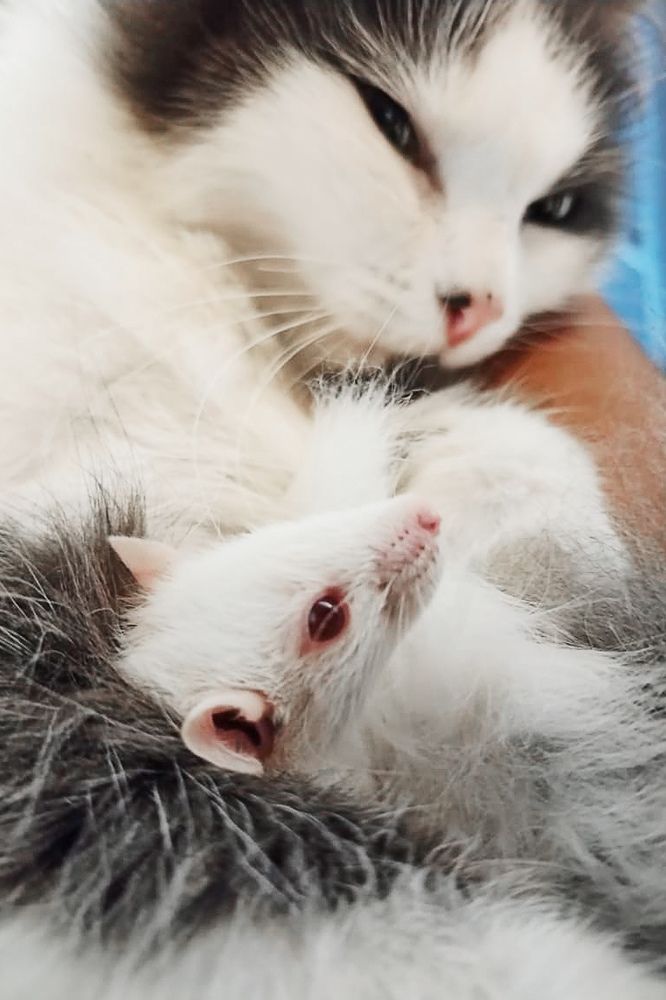 Photograph by Кадырова Анастасия