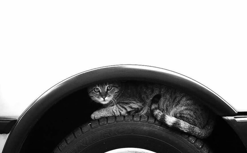 Photograph by Nazanin Davari