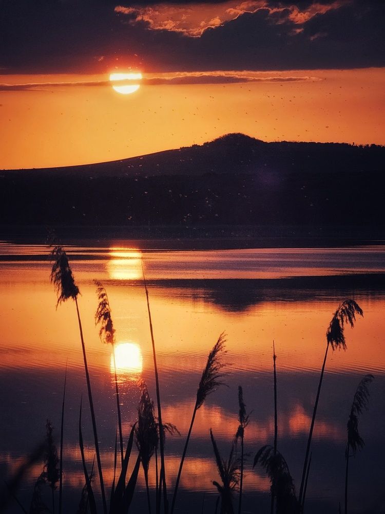 Photograph by Аня Белозерова