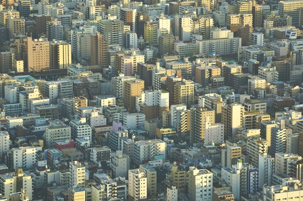 Фотография автора Liudmila Kiermeier