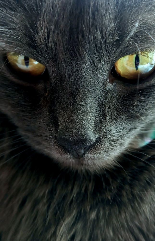 Фотография автора Марина Новикова