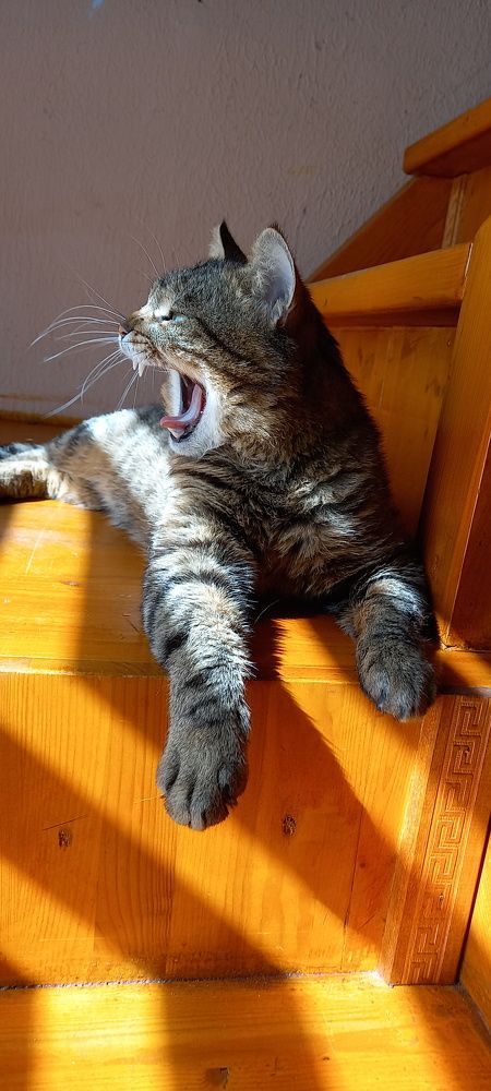 Фотография автора Марина Новикова