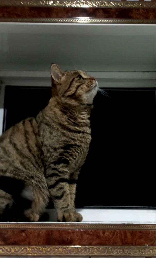 Фотография автора Марина Новикова