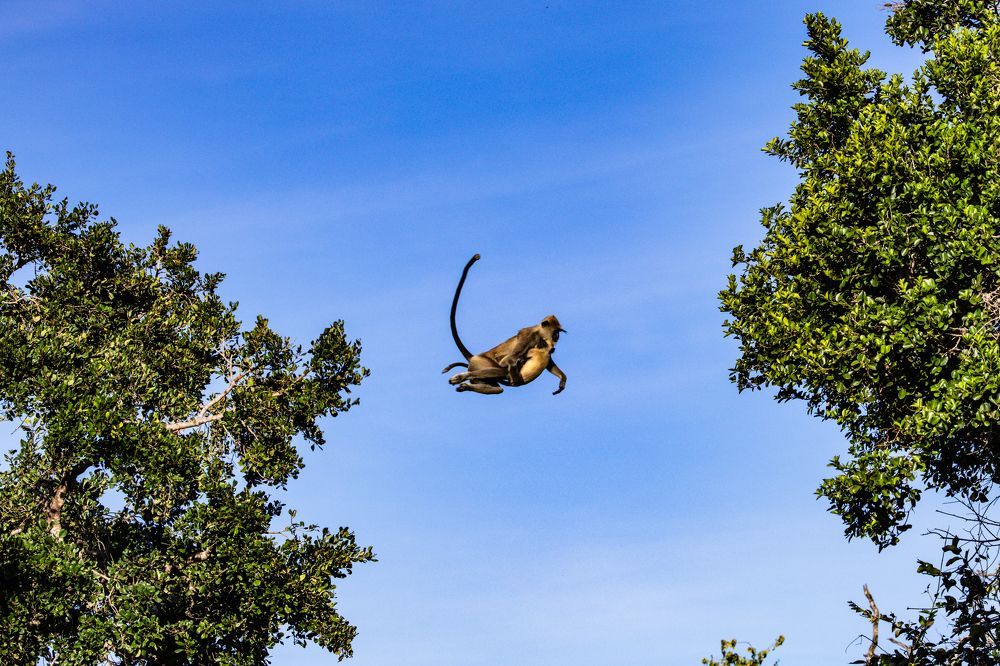 Photograph by Adrian Grigore