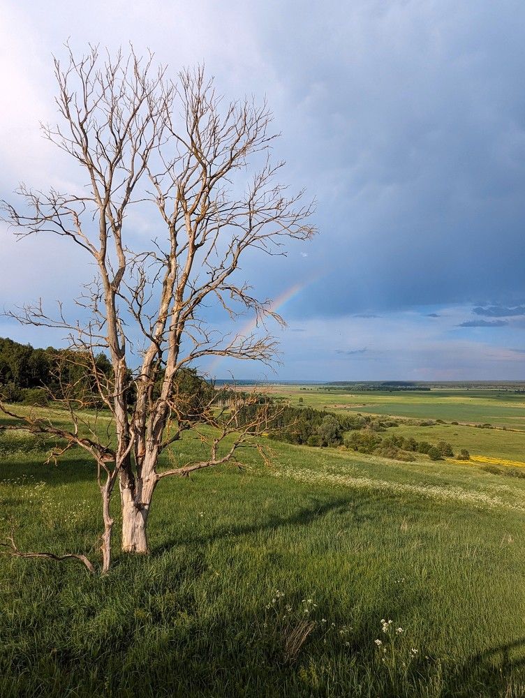 Photograph by Дарья Булавина
