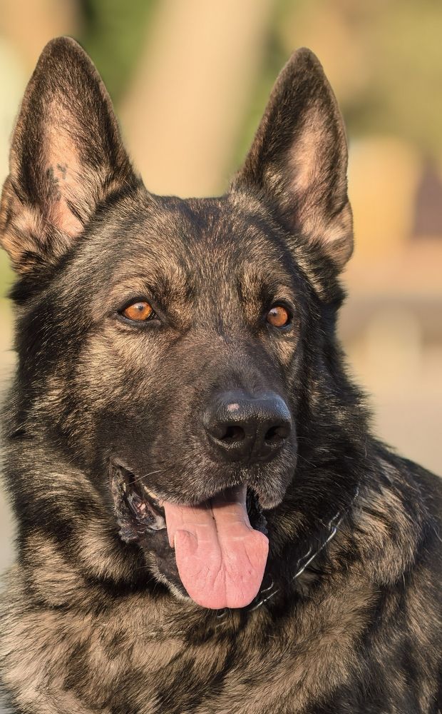 Photograph by Анна Епанчинцева