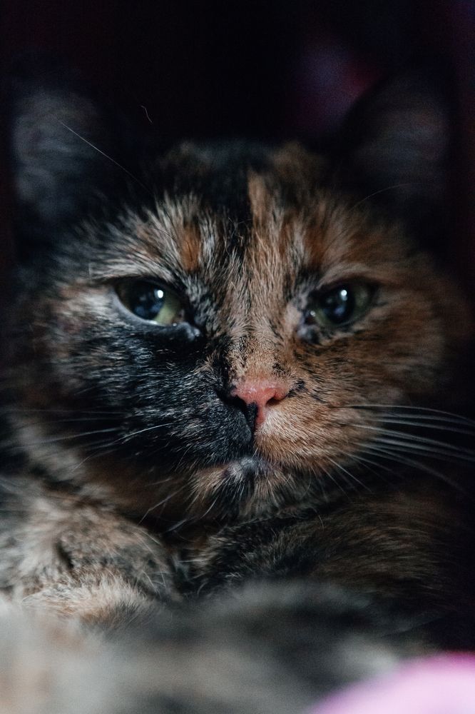 Photograph by Гульнара Айнетдинова