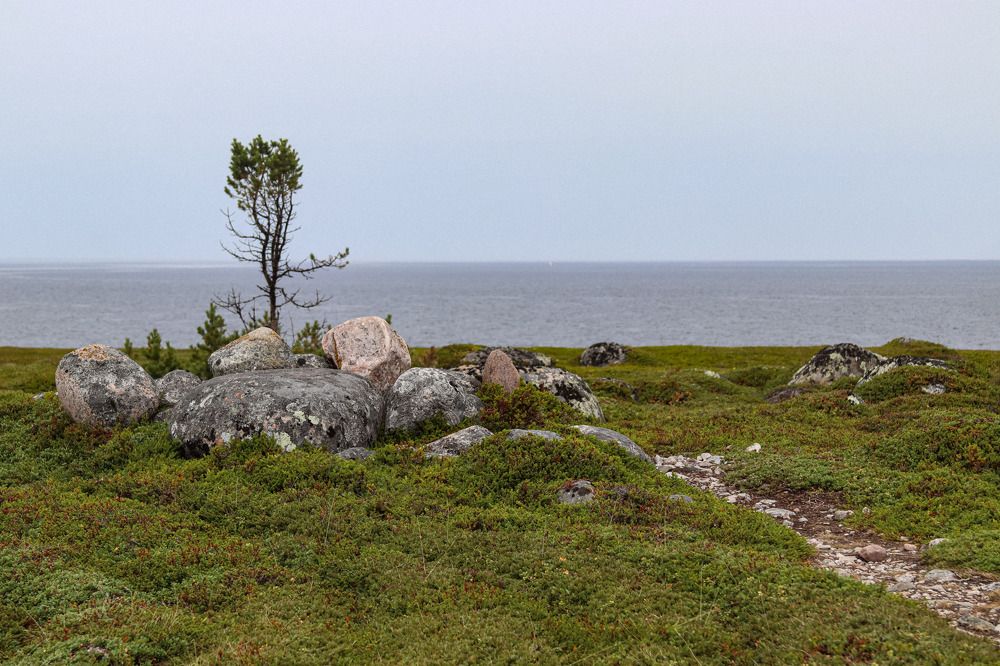 Photograph by Елена Рудкевич