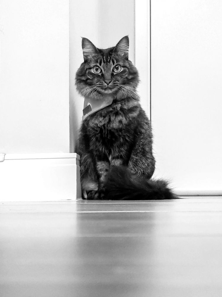 Photograph by samuel celegatti