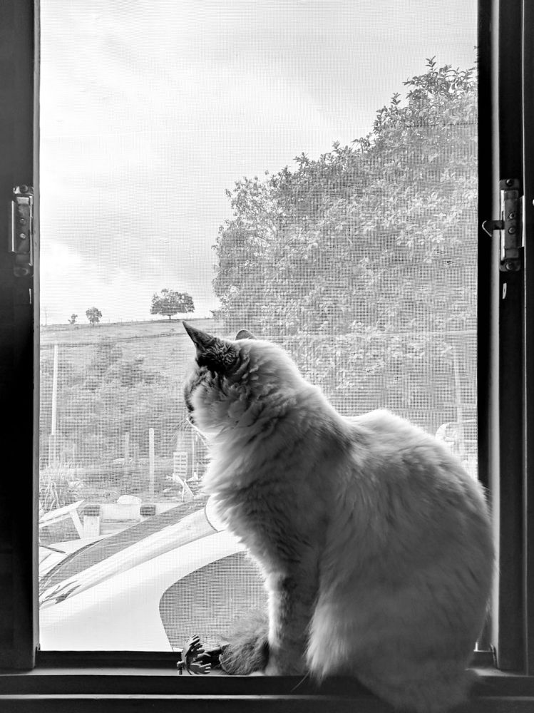 Photograph by samuel celegatti